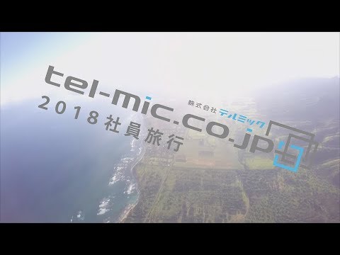 株式会社テルミック 社員旅行 ハワイ2018