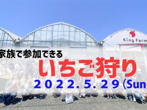 【社内イベント】🍓いちご狩りに行ってきました🍓