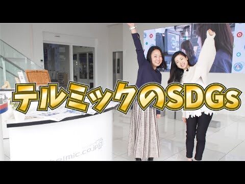 【SDGs】テルミックのSDGs~ダンボールパレット~