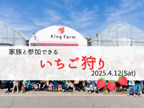 【社内イベント2025】🍓いちご狩り🍓