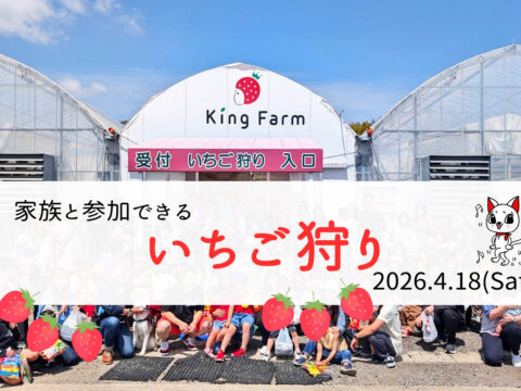 【社内イベント2026】🍓いちご狩り🍓